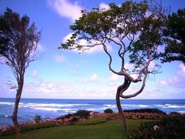 Villa Cantamar Cabrera Bagian luar foto